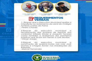 Requerimento Verbal: Pedro Chaves - PSDB; Vilmar Araujo - PSDB e Gelson Fernandes - MDB