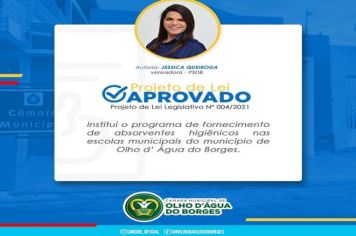 PL Nº 004/2021 - Fornecimento de Absorventes Higienicos nas Escolas Municipais de Olho D'água do Borges/RN.